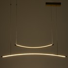 Светильник BayerLux"Интен" LED 30Вт 3000К золото 90х25-125 см - фото 22974930