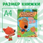 Книга с секретами и лупой «Большие секреты. Найди, что спрятано», 16 стр., Ми-ми-мишки - фото 3443056