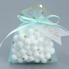 Мешочек подарочный из фатина «Мята», 7 х 9 см +/- 1.5 см - фото 23242427