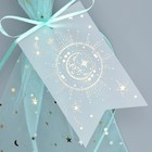 Мешок из фатина «Ангел», 20 х 30 см (комплект 5 шт) - фото 25371677