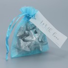 Мешочек подарочный органза голубой «Небо», с шильдиком, 10 х 12 см +/- 1.5 см (комплект 10 шт) - фото 24289340