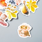 Наклейки для творчества "Осенний лес" набор 46 шт 4,4х4,4х1,1 см - фото 46807129