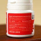 Таблетки натурального происхождения в банке «Личинок восковой моли», 60 таблеток по 250 мг. - Фото 3