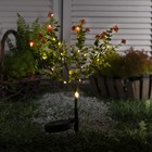 Садовый светильник на солнечной батарее «Цветочный куст», 66 см, 28 LED, свечение тёплое белое - фото 4058575