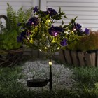 Садовый светильник на солнечной батарее «Кустовая роза», 62 см, 28 LED, свечение тёплое белое - фото 10190683