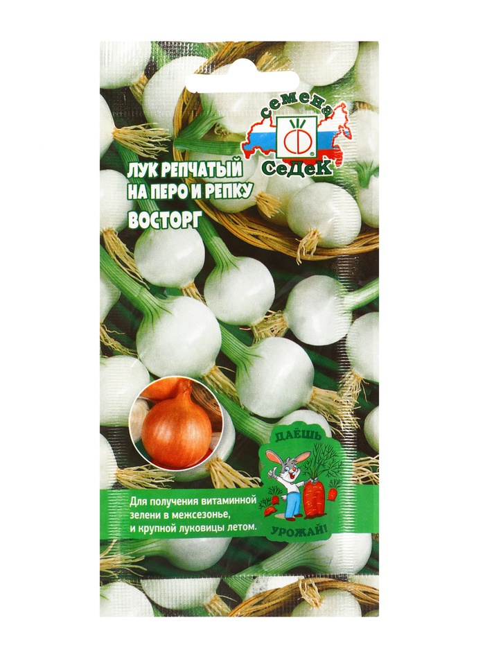 Семена Лук репчатый на перо и репку «Восторг», 0.5 г, «СеДеК» - Фото 1