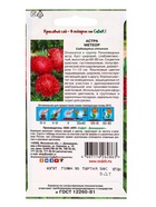 Семена Цветок Астра "Метеор  "0.2 г 9428327 - фото 16462175