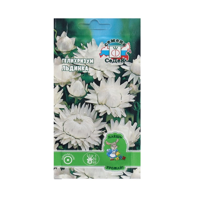 Семена Цветок Гелихризум "Льдинка "0.1 г - Фото 1