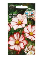 Семена цветок космея «Юнец», 0.3 г - Фото 3