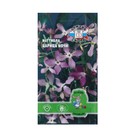 Семена Цветок Маттиола "Царица ночи "0.3 г - Фото 1