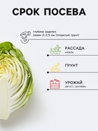 Семена Капуста белокочанная «Слава 1305», 0.5 г, «СеДеК» - Фото 2