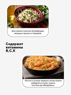 Семена Капуста белокочанная «Слава 1305», 0.5 г, «СеДеК» - Фото 3