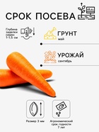 Семена Морковь «Шантенэ 2461», 1 г, «СеДеК» - Фото 2