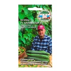 Семена Огурец F1 «Аллигатор 4 », 0.2 г - Фото 1