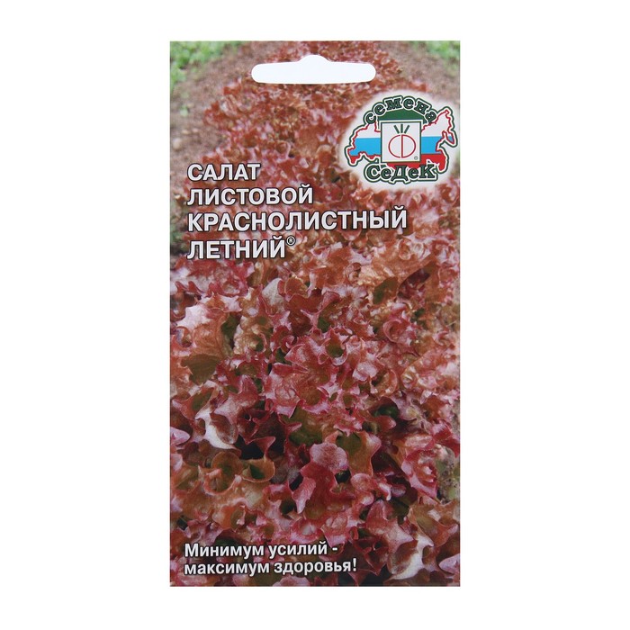 Семена Салат  