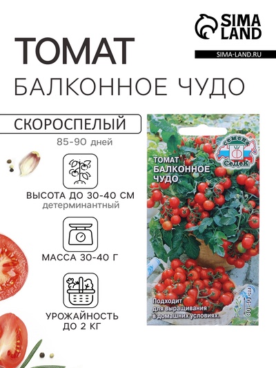Семена Томат «Балконное чудо», детерминантный, низкорослый, 0.1 г