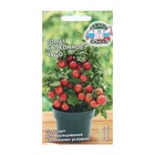 Семена Томат «Балконное чудо», детерминантный, низкорослый, 0.1 г  (артикул 9428576)  большой выбор товаров оптом и в розницу по низким ценам с доставкой