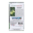 Семена Тыква "Восковая Белоснежка " б/п 0.2 г - Фото 2