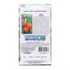 Семена Томат "Непас 4 ",детерминантный, низкорослый, 0.1 г - Фото 2