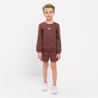 Костюм детский (свитшот, шорты) MINAKU, цвет коричневый, рост 104 см - Фото 2