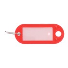 Набор бирок для ключей на кольце «Идентификатор», 53 мм, 100 шт., МИКС - Фото 3