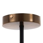 Люстра "Бланше" 5х60Вт Е27 золото/черный 58х58х32см 9443055 Люстра "Бланше" 5х60Вт Е27 золото/черный 58х58х32см 9443055