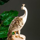 Колонна "Жар-птица" слоновая кость, 66х20х27см - фото 24726736