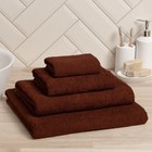 Полотенце махровое «Экономь и Я», 100×150 см, хлопок 100%, 350 г/м², коричневое - Фото 1