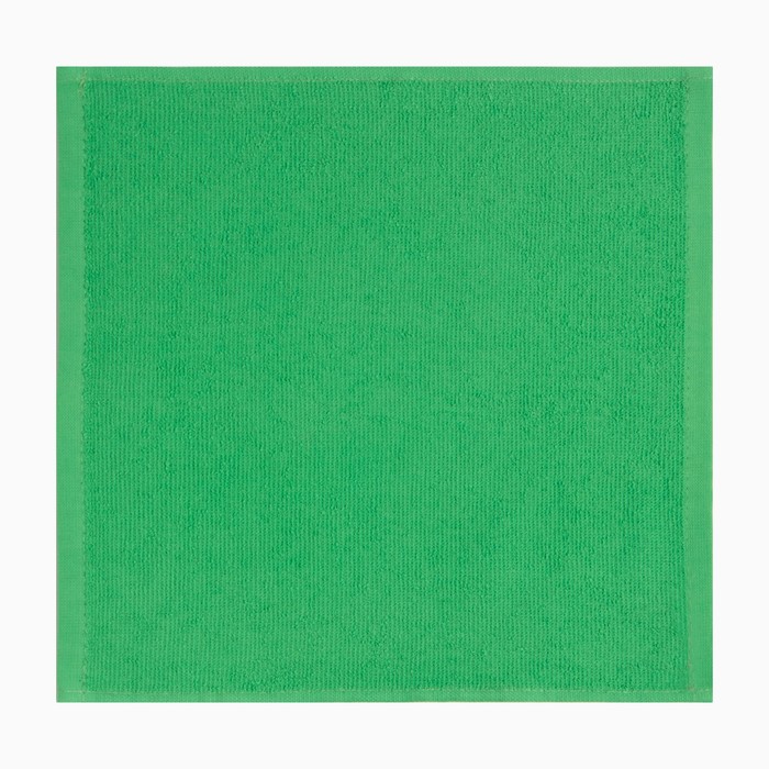 Салфетка махровая универсальная для уборки Экономь и Я, зеленый, 100% хлопок, 350 гр/м2 - фото 1907610002