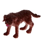 Набор животных «Парк для собак» - фото 25565481