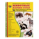 Демонстрационные картинки "Животные жарких стран" 16 шт, 17 х 22 см 9452159 - фото 10196717