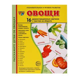 Демонстрационные картинки "Овощи" 16 шт, 17 х 22 см 9452163