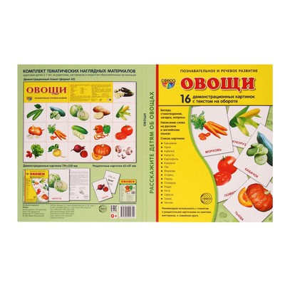 Демонстрационные картинки «Овощи» 16 шт., 17×22 см
