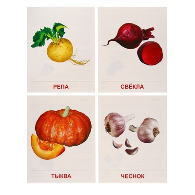 Демонстрационные картинки «Овощи» 16 шт., 17×22 см