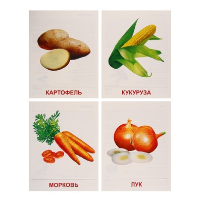 Демонстрационные картинки «Овощи» 16 шт., 17×22 см