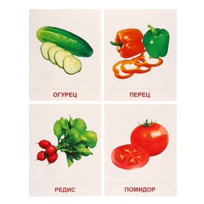 Демонстрационные картинки «Овощи» 16 шт., 17×22 см