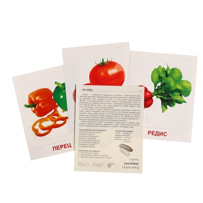 Демонстрационные картинки «Овощи» 16 шт., 17×22 см