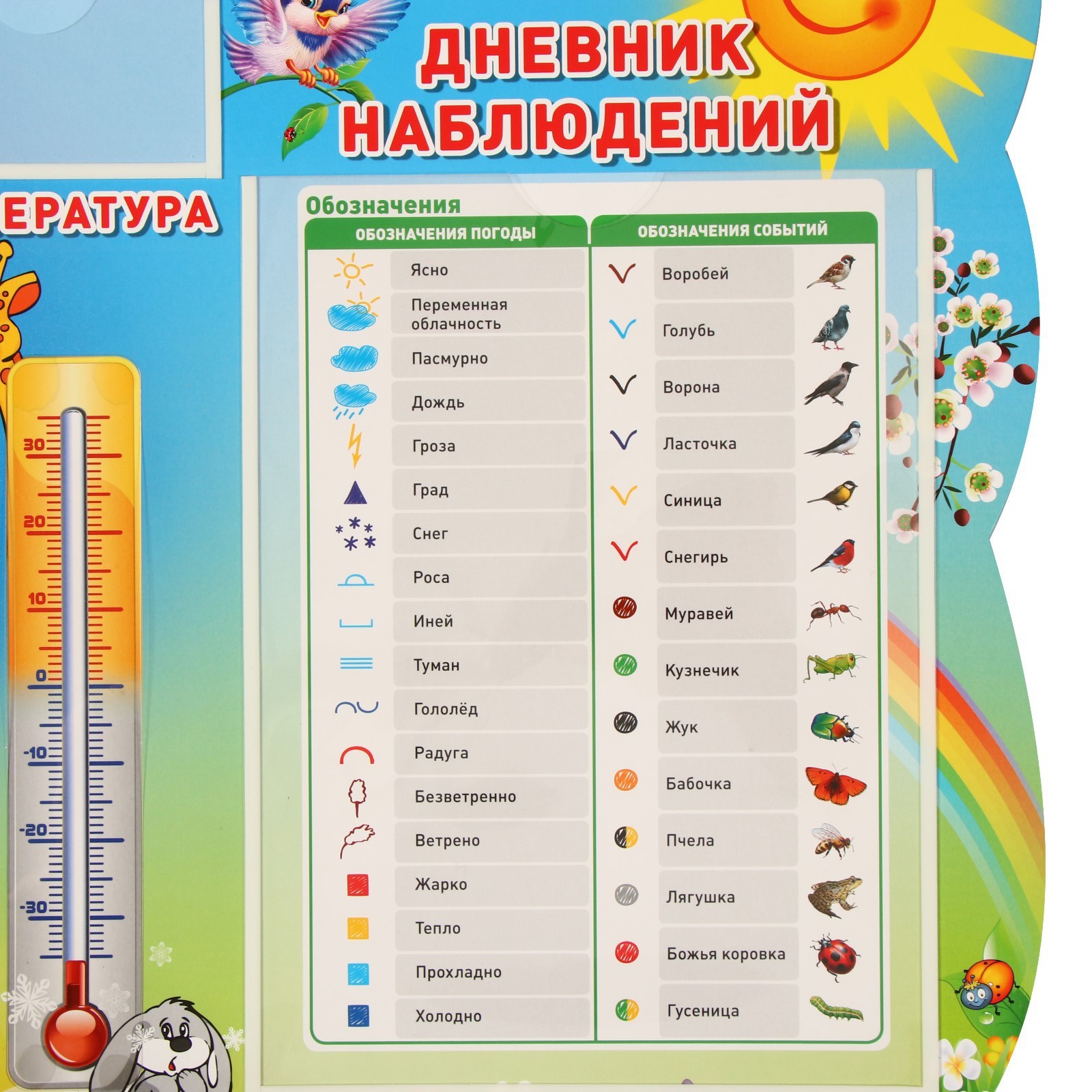 Дневник наблюдений. - Дошкольное образование - Дошкольникам