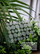 Патчи от прыщей и воспалений на лице, набор 24 шт. - Фото 2