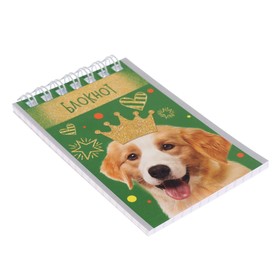 Набор блокнотов 4 штуки А7, 40 листов в клетку на гребне "Животные", обложка мелованная бумага, блок офсет