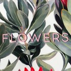 Полотенце «Этель» Flowers, 40×73 см, 100% хлопок, саржа 190 г/м² 9364908