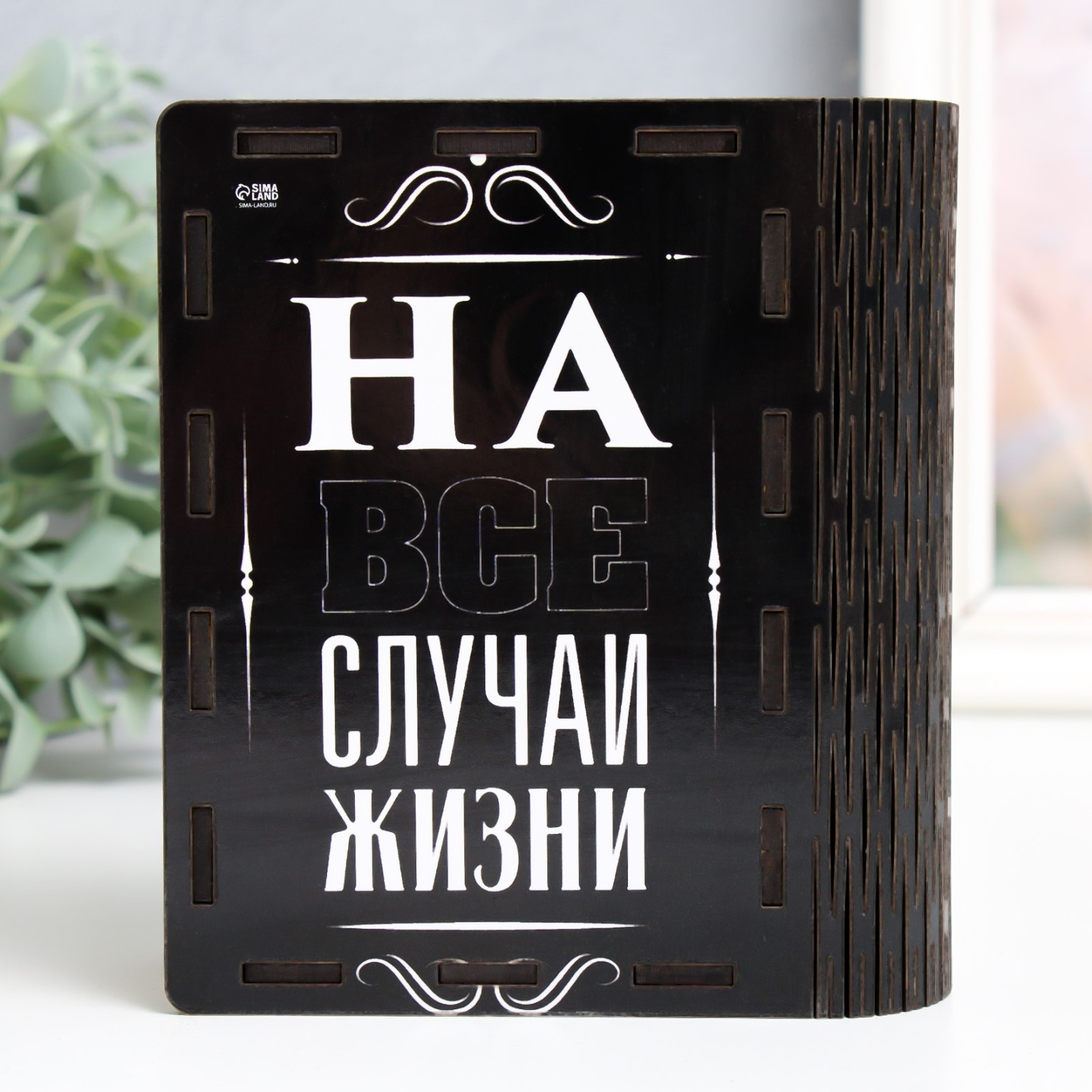 Копилка парню