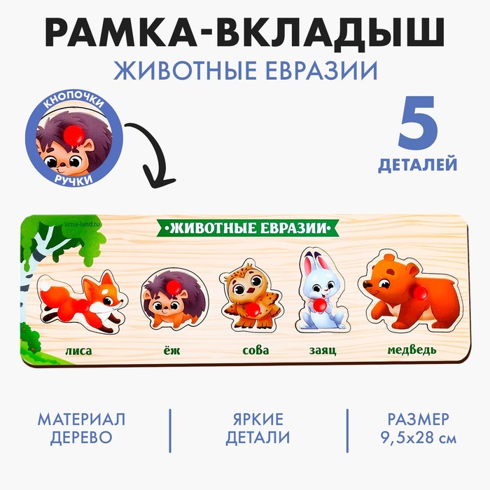 Рамка - вкладыш «Животные Евразии»