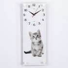 Часы-картина настенные, серия: Интерьер, "Все любят котиков", 20 х 50 см - фото 10199393