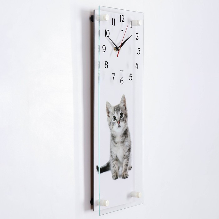 Часы-картина настенные, серия: Интерьер, "Все любят котиков", 20 х 50 см - фото 1904702407