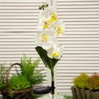 Садовый светильник на солнечной батарее «Белая орхидея», 74 см, 5 LED, свечение белое, УЦЕНКА - Фото 2