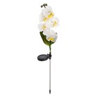 Садовый светильник на солнечной батарее «Белая орхидея», 74 см, 5 LED, свечение белое, УЦЕНКА - Фото 3