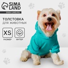 Толстовка Champion для собак (футер), размер XS (ДС 18, ОШ 28-30, ОГ 38-40), голубая - Фото 1