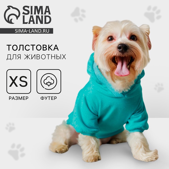 Толстовка Champion для собак (футер), размер XS (ДС 18, ОШ 28-30, ОГ 38-40), голубая