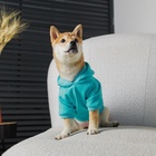 Толстовка Champion для собак (футер), размер XS (ДС 18, ОШ 28-30, ОГ 38-40), голубая - Фото 10